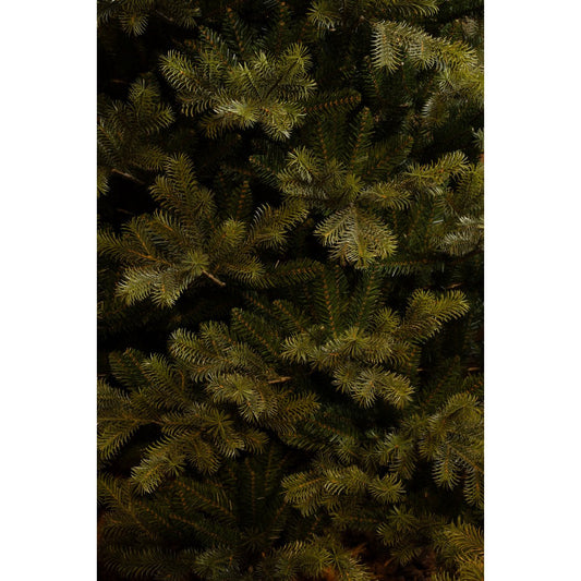 Clive Künstlicher Weihnachtsbaum - H185 x Ø130 cm - Grün