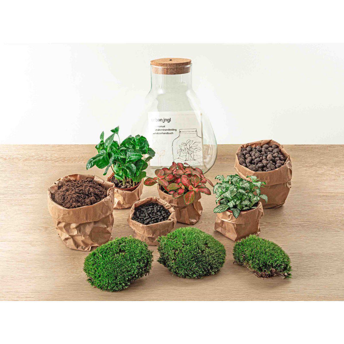 Terrarium-Bausatz – Sam Coffea mit Licht – Flaschengarten – ↑ 30 cm
