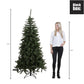 Charlton Künstlicher Weihnachtsbaum – H215 x Ø127 cm – Grün