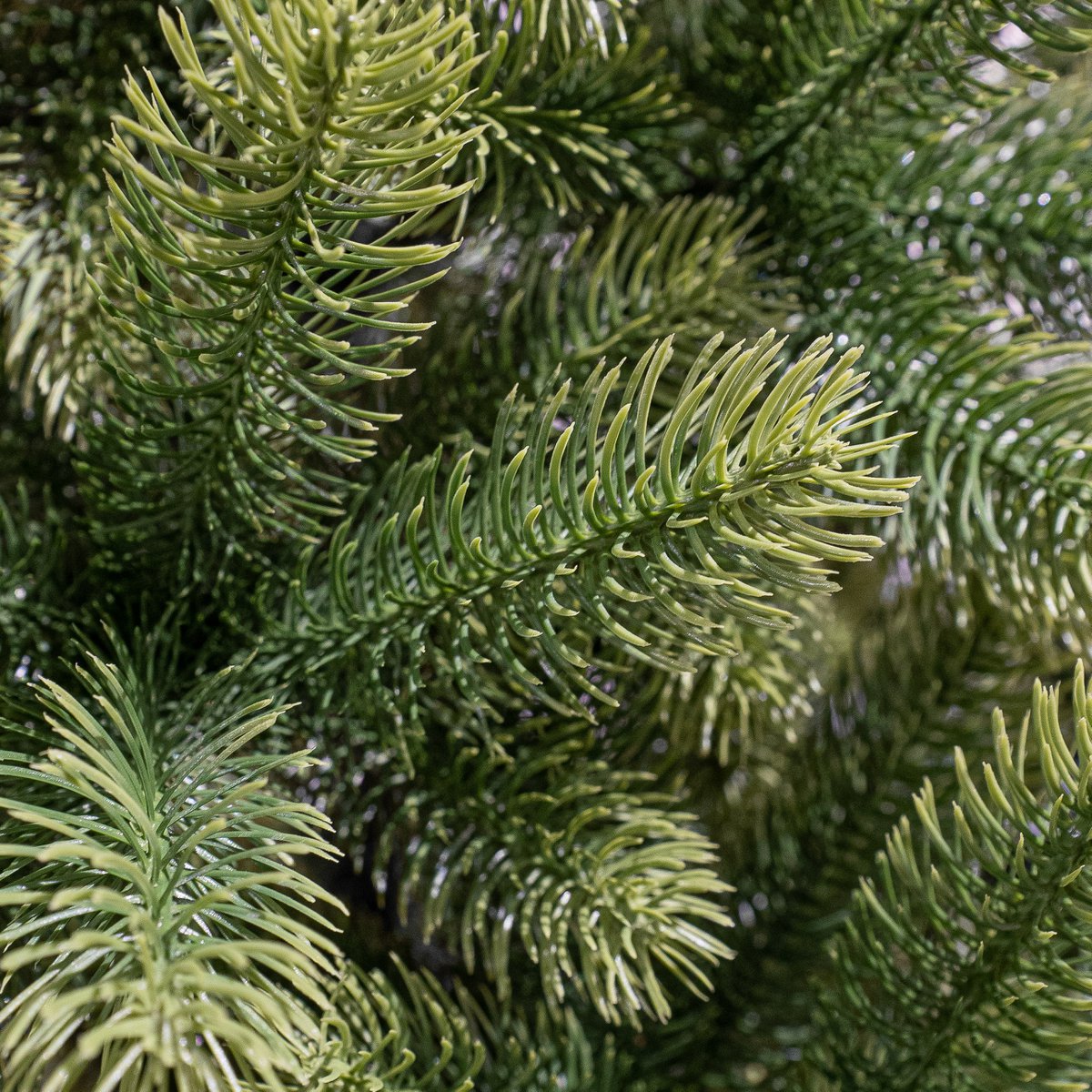 Nagoya Künstlicher Weihnachtsbaum – H210 x Ø115 cm – Grün