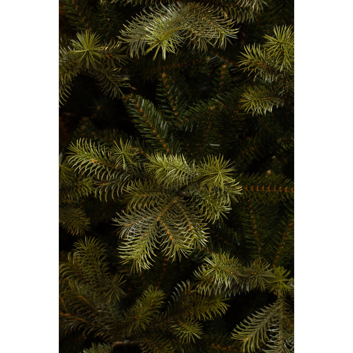 Clive Künstlicher Weihnachtsbaum - H215 x Ø142 cm - Grün