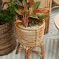Rattan-Pflanzenständer rund – Boho-Pflanzgefäß – Rattan-Pflanzkorb – natürlicher Blumenständer für Töpfe bis Ø20 cm AKARA