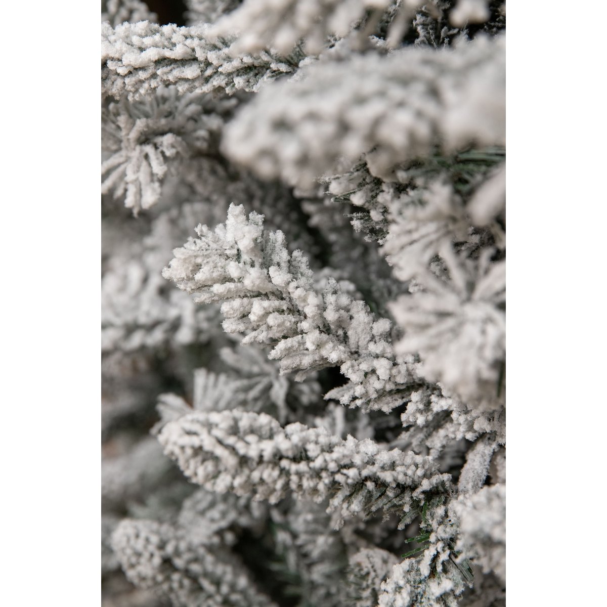 Black Box Trees Snowdon Künstlicher Weihnachtsbaum – H185 x Ø117 cm – Grün gefrostet
