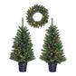 Creston Set bestehend aus 2 Weihnachtsbäumen und 1 Kranz mit LED-Beleuchtung – Grün