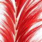 The Stunning Leaf – Leuchtendes Rot – 6er-Set