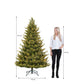 Clive Künstlicher Weihnachtsbaum mit LED-Beleuchtung – H215 x Ø142 cm – Grün
