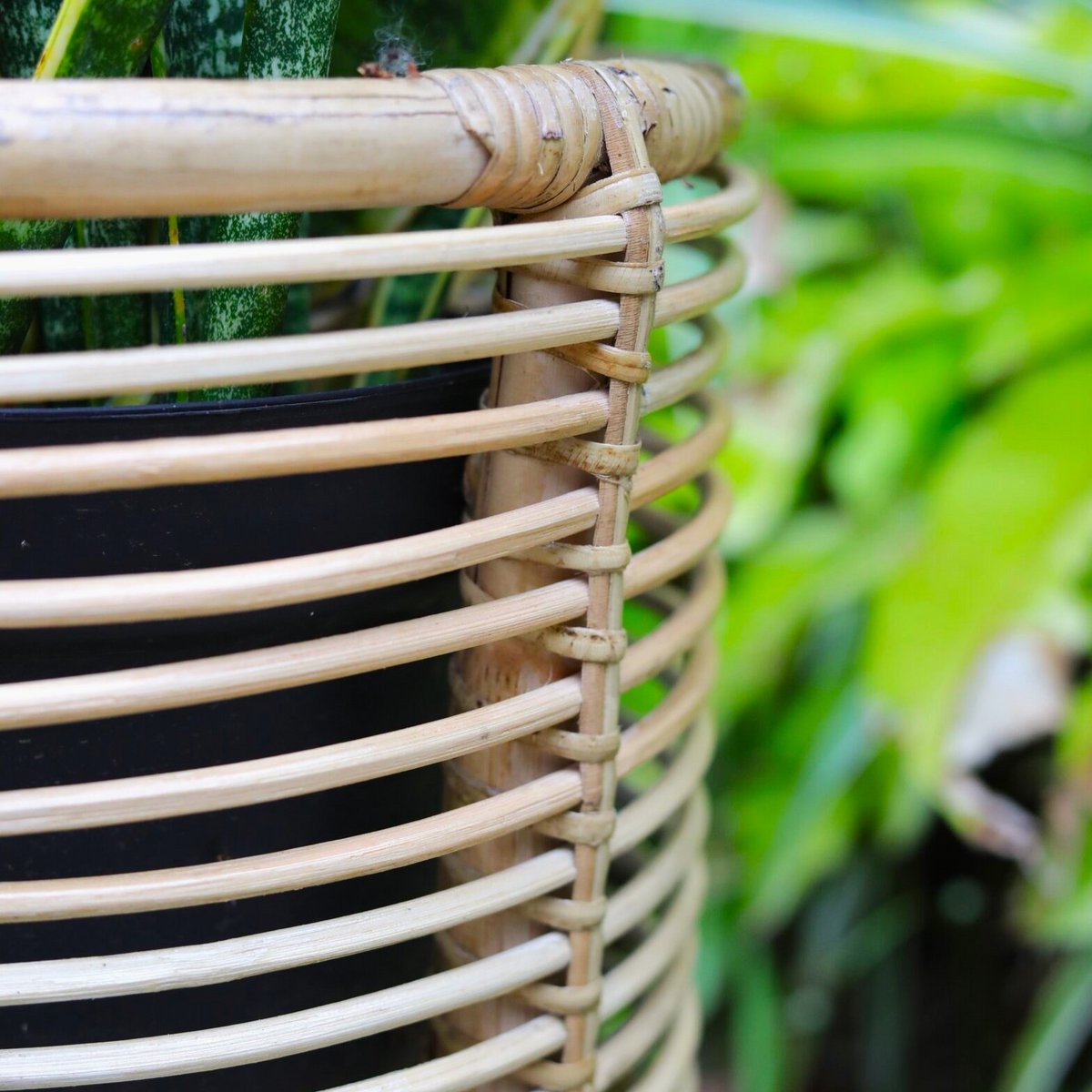 Rattan-Pflanzenständer rund – Boho-Pflanzgefäß – Rattan-Pflanzkorb – natürlicher Blumenständer für Töpfe bis Ø20 cm AKARA